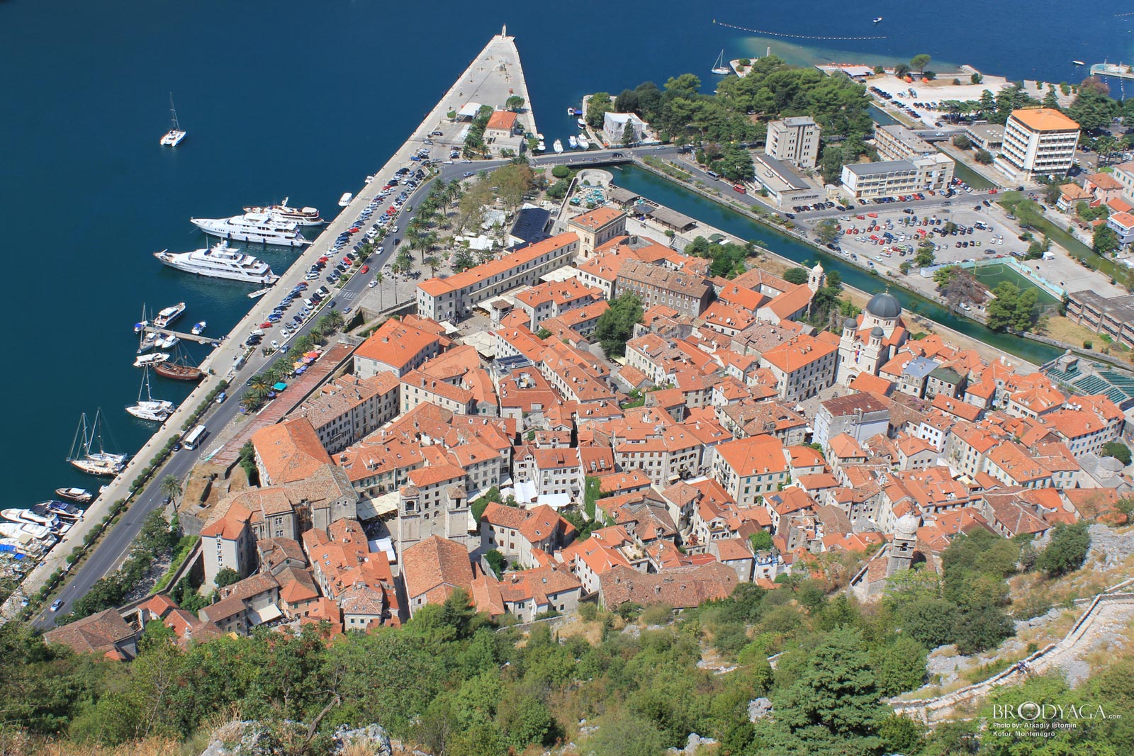Kotor
